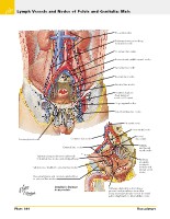 Frank H. Netter, MD - Atlas of Human Anatomy (6th ed ) 2014, page 429